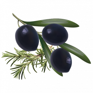Grisin-Aceituna-Negra
