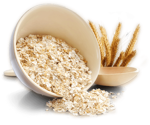 oat-clipart